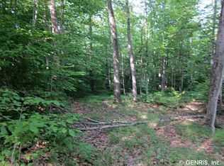 0 Brown Rd, Prattsburgh, NY 14873