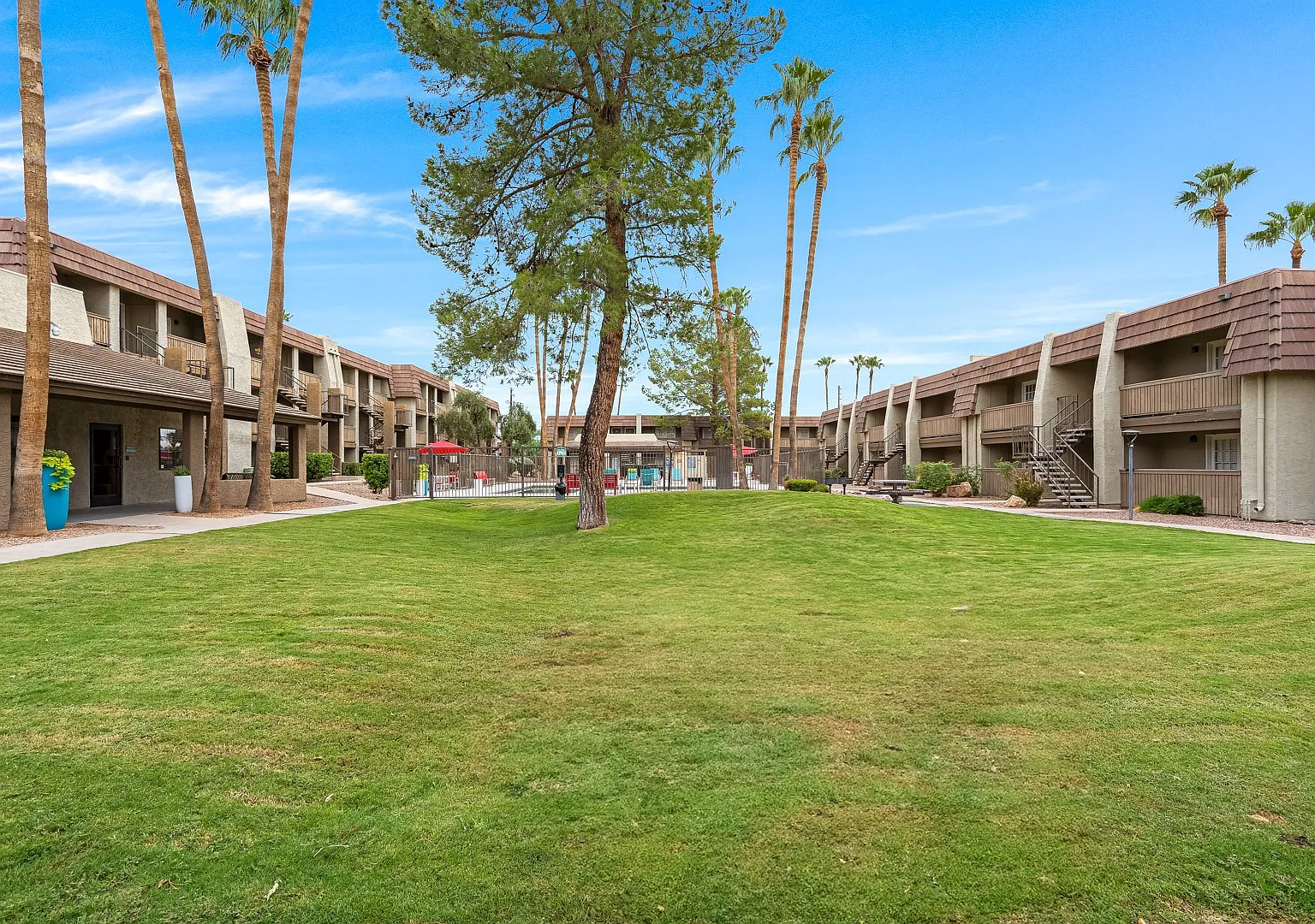 Verde Apartments — Photo 4