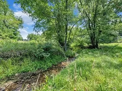 8339 Martins Creek Rd — Photo 10