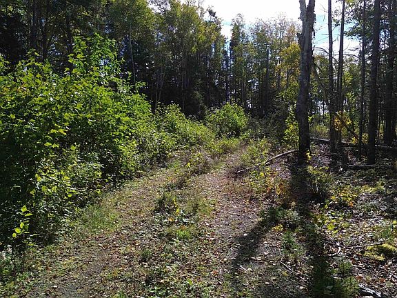 5th image of Marble Mountain Rd
