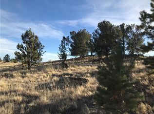 1658 Navajo Trl, Hartsel, CO 80449