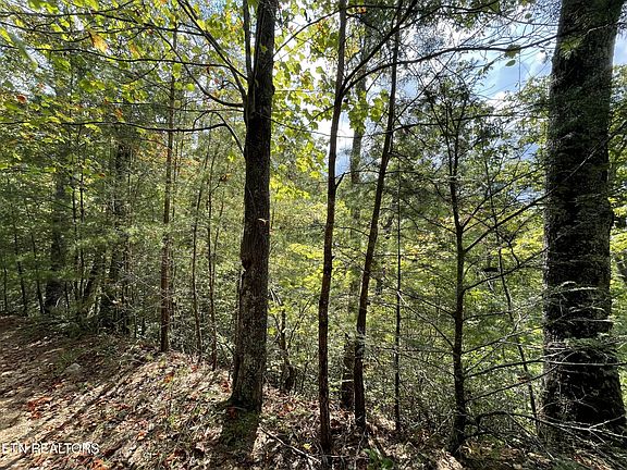 5th image of 16 Steer Creek Rd Lot 16