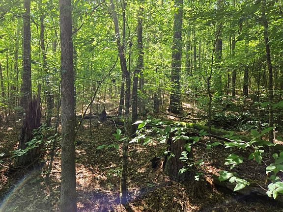 5th image of LOT 401 Cedar Dr
