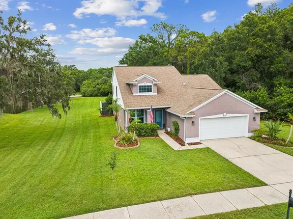 422 Cypress View Dr, Oldsmar, FL 34677