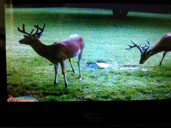 792 Thompson Town Rd, Irvona, PA 16656