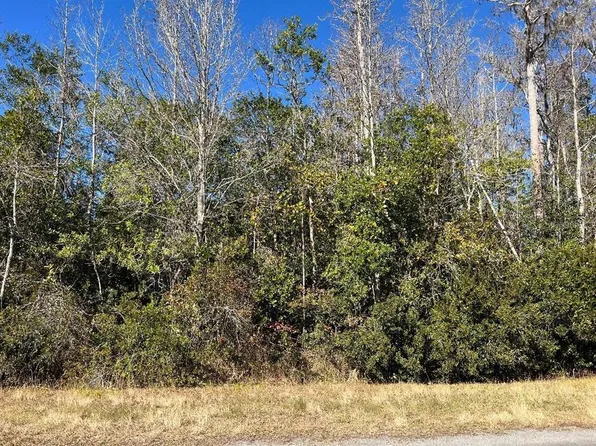 Netherland St Lot 15, Orlando, FL 32833