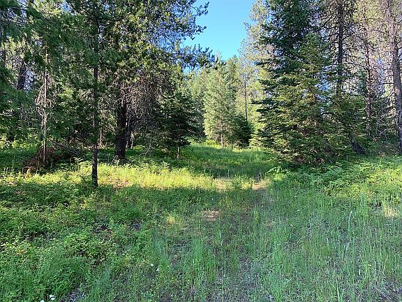 5th image of 432561 Highway 20