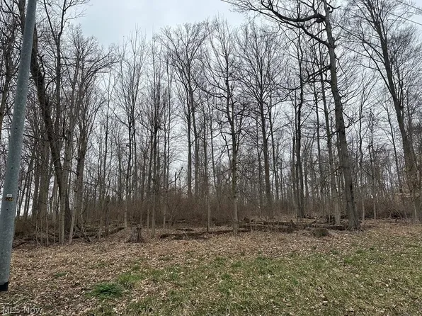 0 Grant Road, Howard, OH 43028