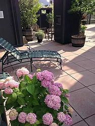 Rented by Sotheby's International Realty