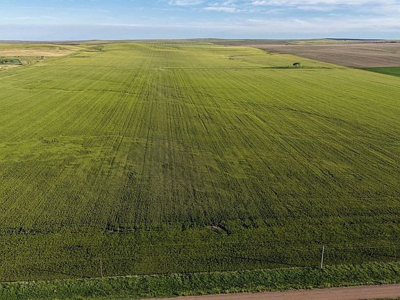 Dji Fly 20260610 185234 0611 1781187765299 Photo