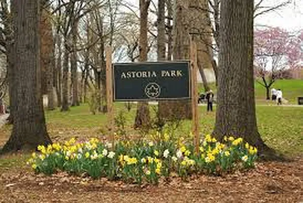 Rented by Axxess Realty Group | media 17