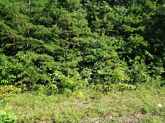 5th image of 0 Wallace Way Lot 22