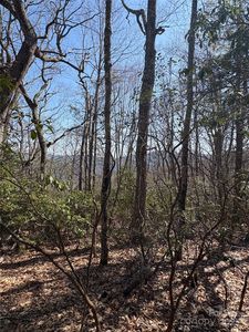Leatherwood Rd #24B, Maggie Valley, NC, 28751