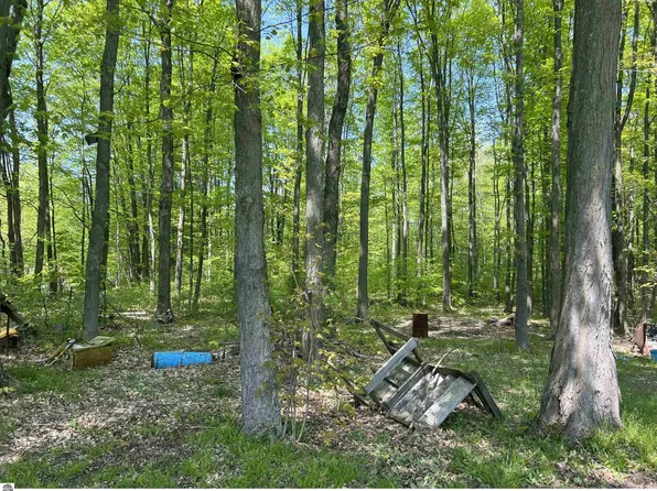 2201 E 34th Rd, Cadillac, MI 49601