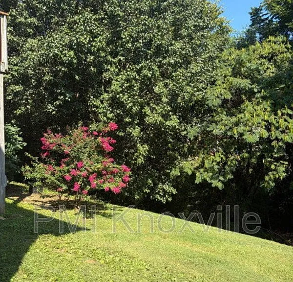 4136 Larigo Dr — Photo 47