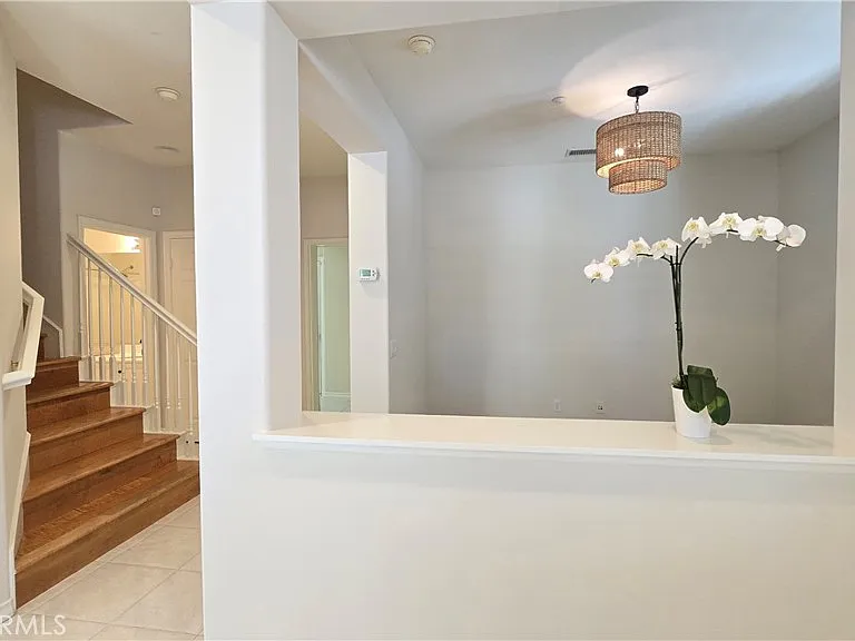 29 Carnation — Photo 16
