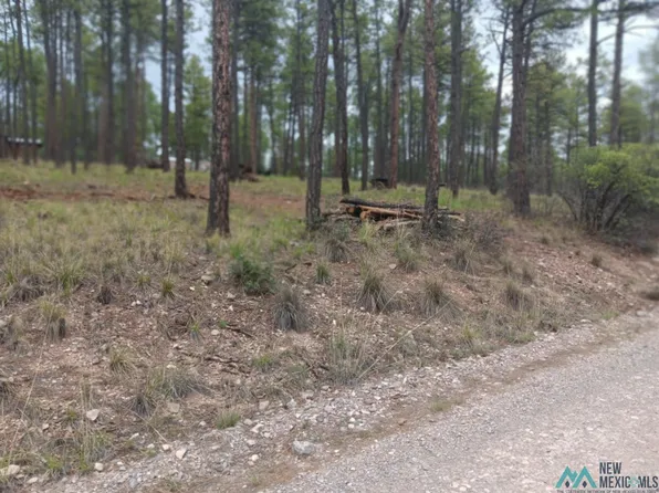 71 Arapaho, Timberon, NM 88350
