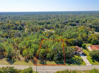 51 Cypress Blvd E, Homosassa, FL 34446