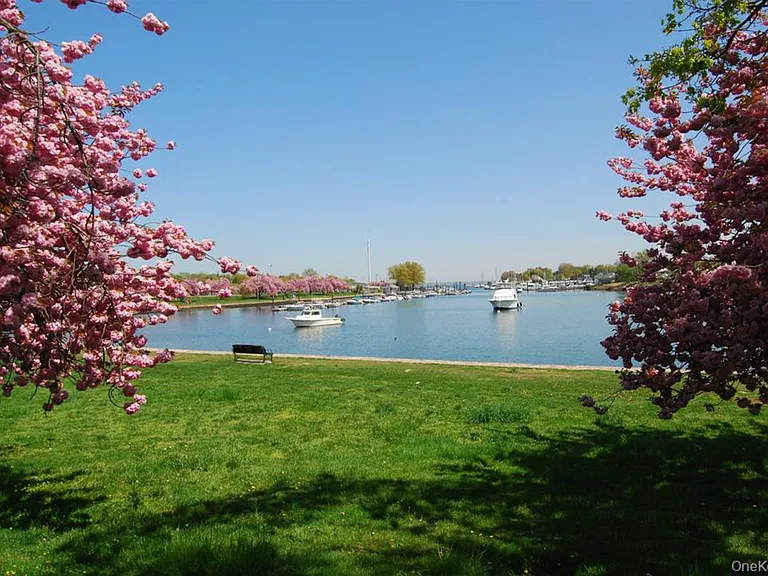 Enjoy Harbor Island Park!