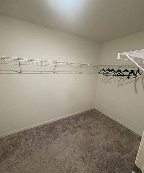 293 Cornelius Blvd — Photo 5