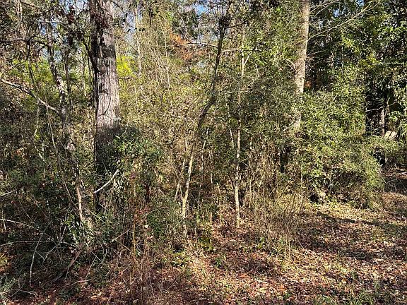 2nd image of Xx Noles Ln