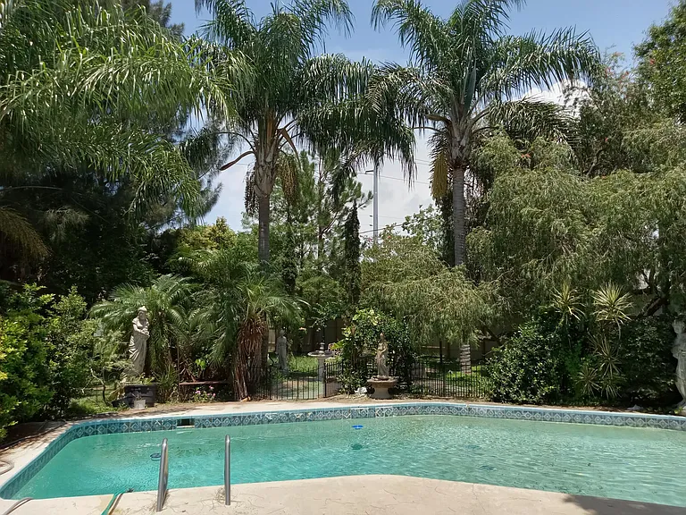 Beautiful view of the backyard, out the large picture window in the kitchen, and 2 sets of French doors in the dining room. Tropical Palm Trees, and statues, and flowers and Cypress trees make for a very peaceful and relaxing, beautiful view.