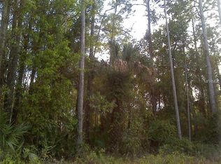 107 June Ave, Georgetown, FL 32139