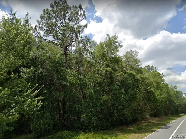 10708 N Citrus Springs Blvd, Citrus Springs, FL 34434