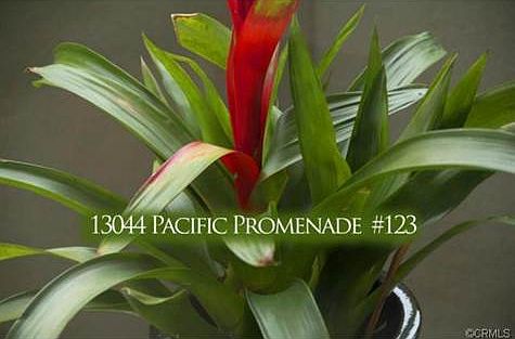 2nd image of 13044 Pacific Promenade APT 123