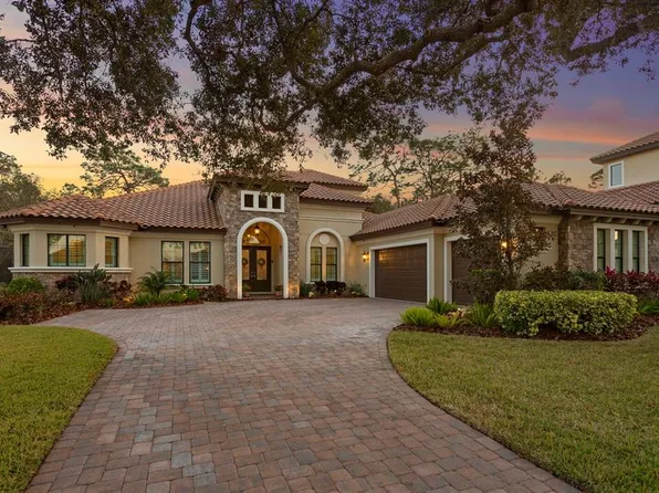 5309 Alafia Falls Dr, Lithia, FL 33547
