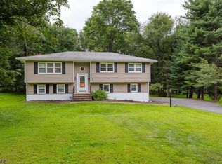 4 Black Birch Dr, Randolph, NJ 07869