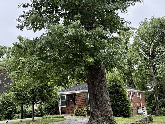 3rd image of 2607 W Linden Ave