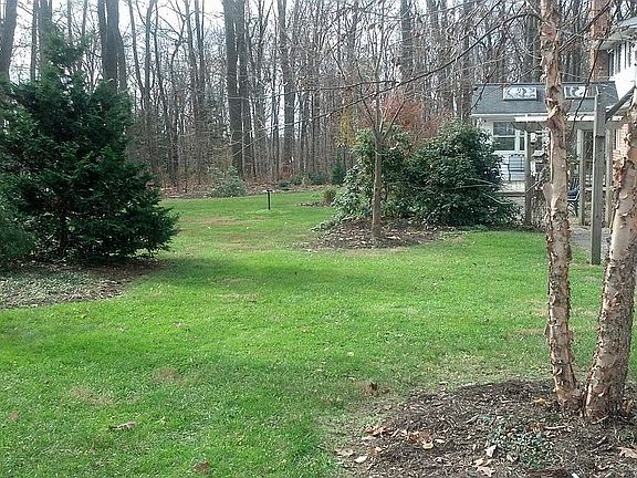 Back yard