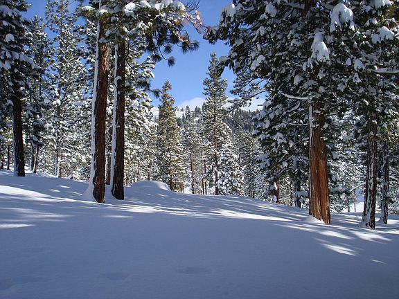 View to Beckworth Peak