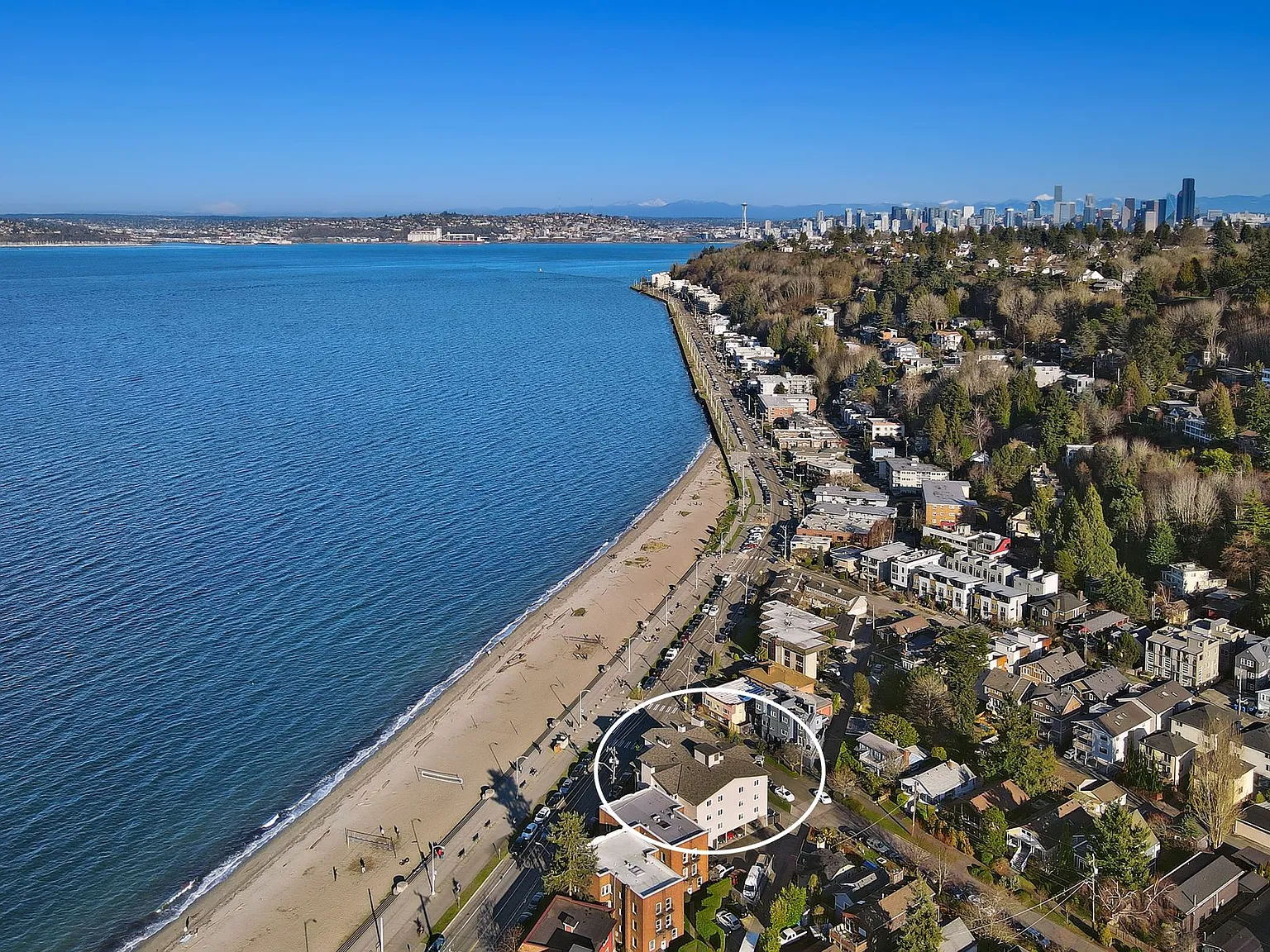 Alki Surf — Photo 2