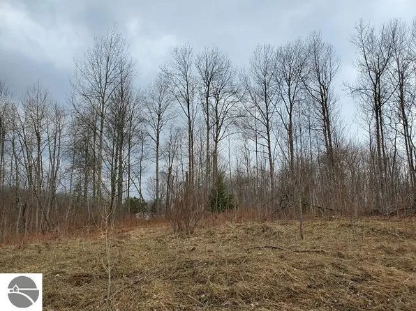 0 Everett Trl, Hale, MI 48739
