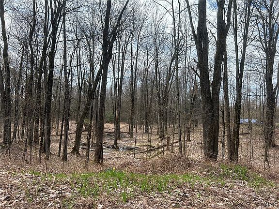 2nd image of N Hillsborough Rd Lot 12
