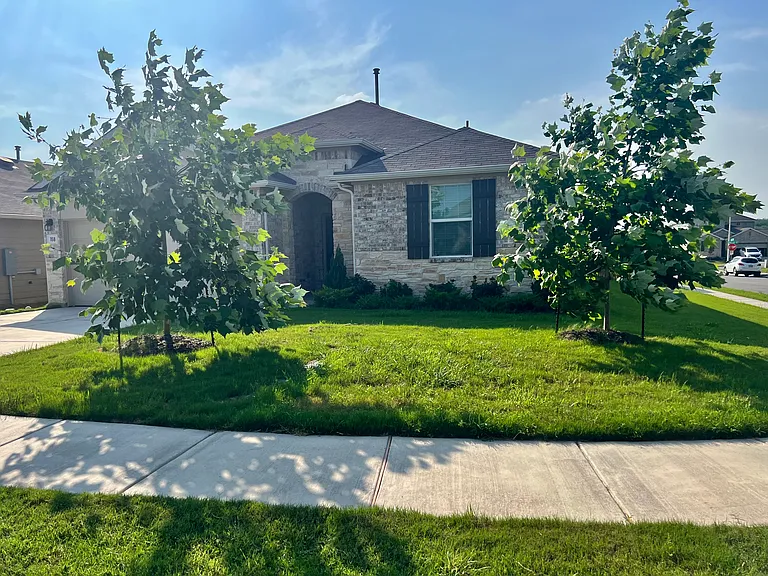 168 Apache Plum Dr — Photo 16