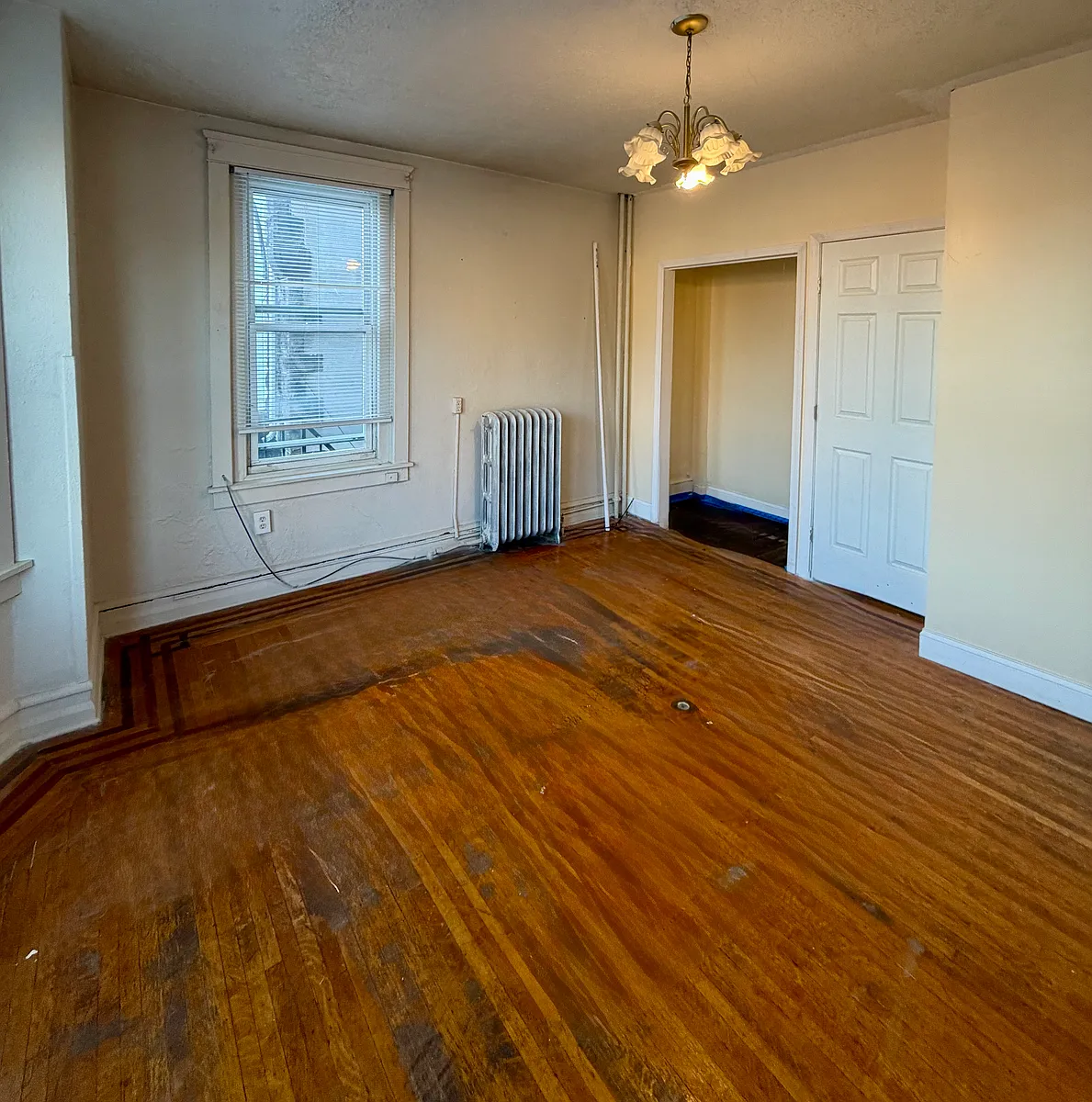 Building Photo - 147 W Buttonwood St #2