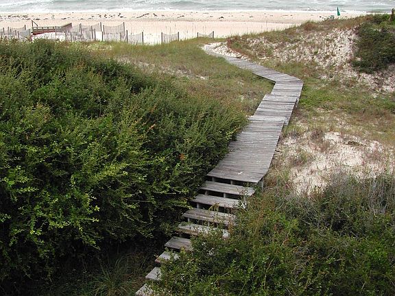 Boardwalk to Beach