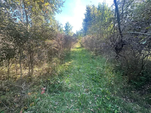 Vl 20 Mile Rd, Marshall, MI 49068