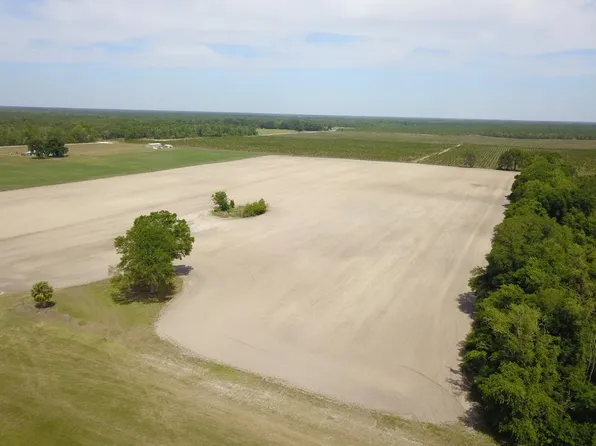  NW 45th Ave, Bell, FL 32619