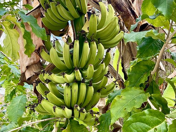 5th image of 6685 Lakeside Road