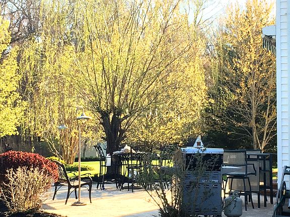 Patio in Backyward