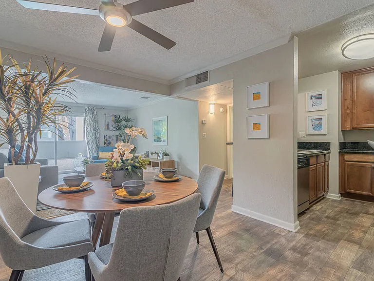City View Apartments at Warner Park — Photo 9