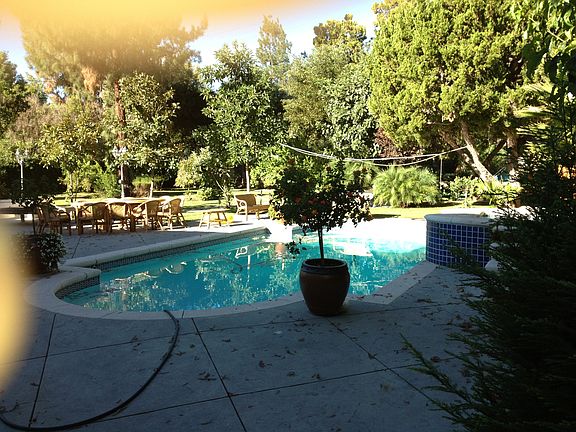 pool, back yard