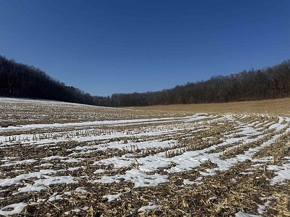 5th image of 189.54 Acres Eli Valley Road