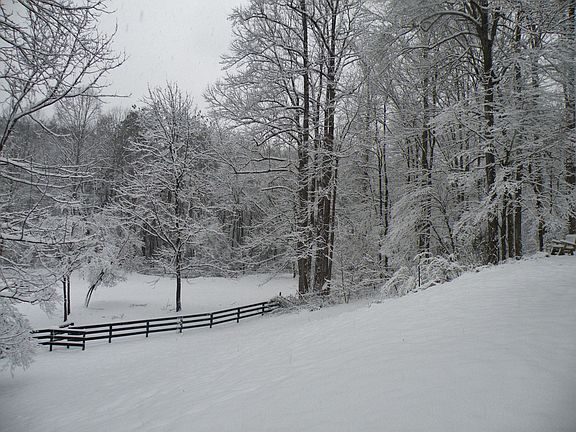 backyard into pasture