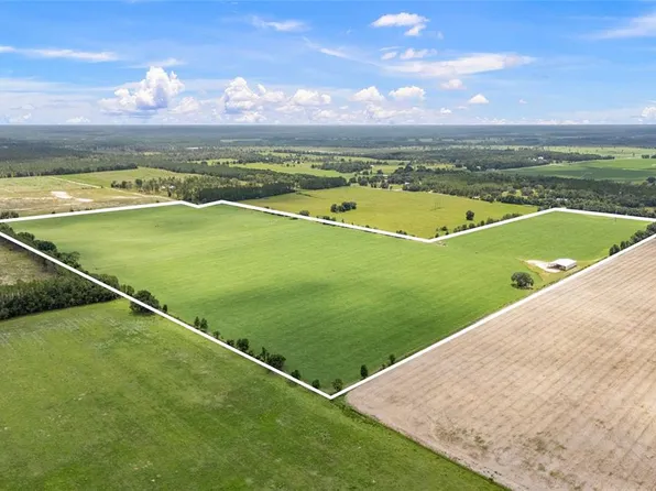 7213 SW 298th St, Newberry, FL 32669