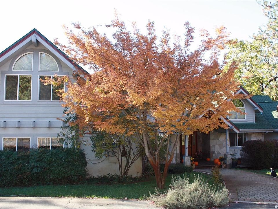 1st image of 675 Conifer Ln